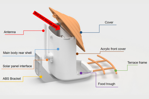 Bird feeder structure diagram