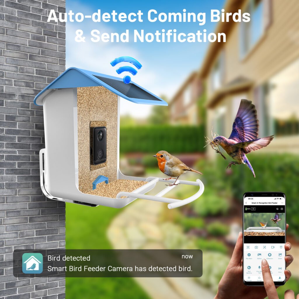 smart bird feeder picture