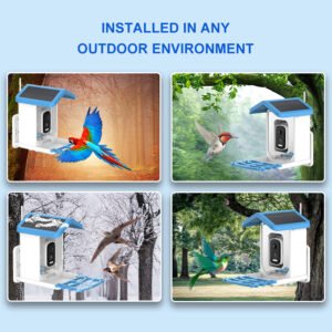 smart bird feeder picture