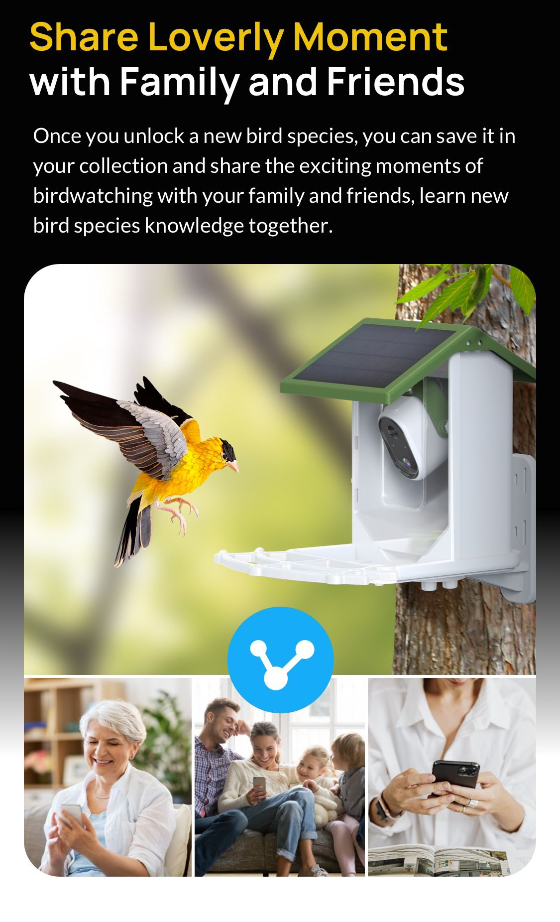 smart bird feeder picture