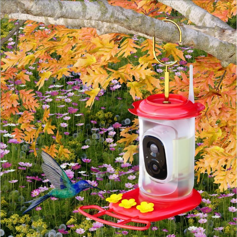 hummingbird feeder picture