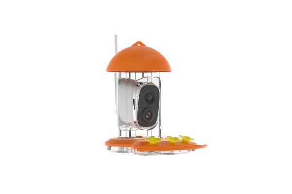 hummingbird feeder picture