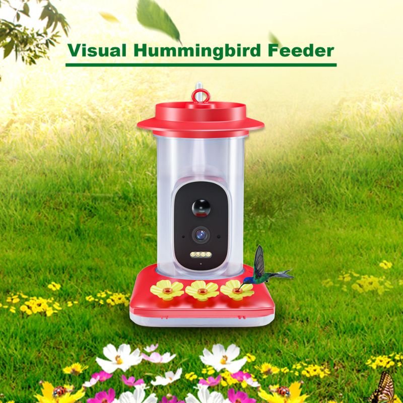 hummingbird feeder picture