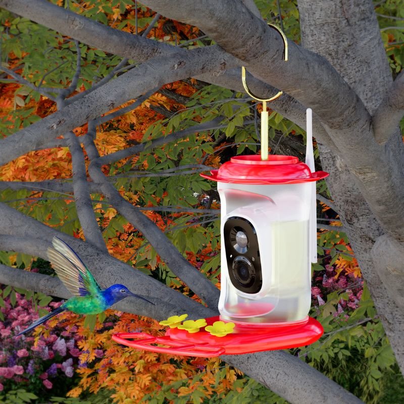 hummingbird feeder picture
