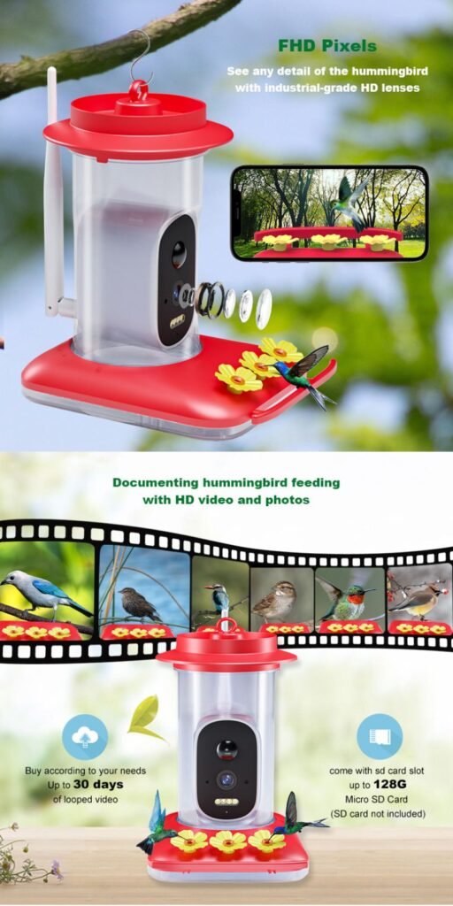 hummingbird feeder picture