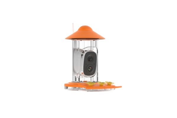 hummingbird feeder picture