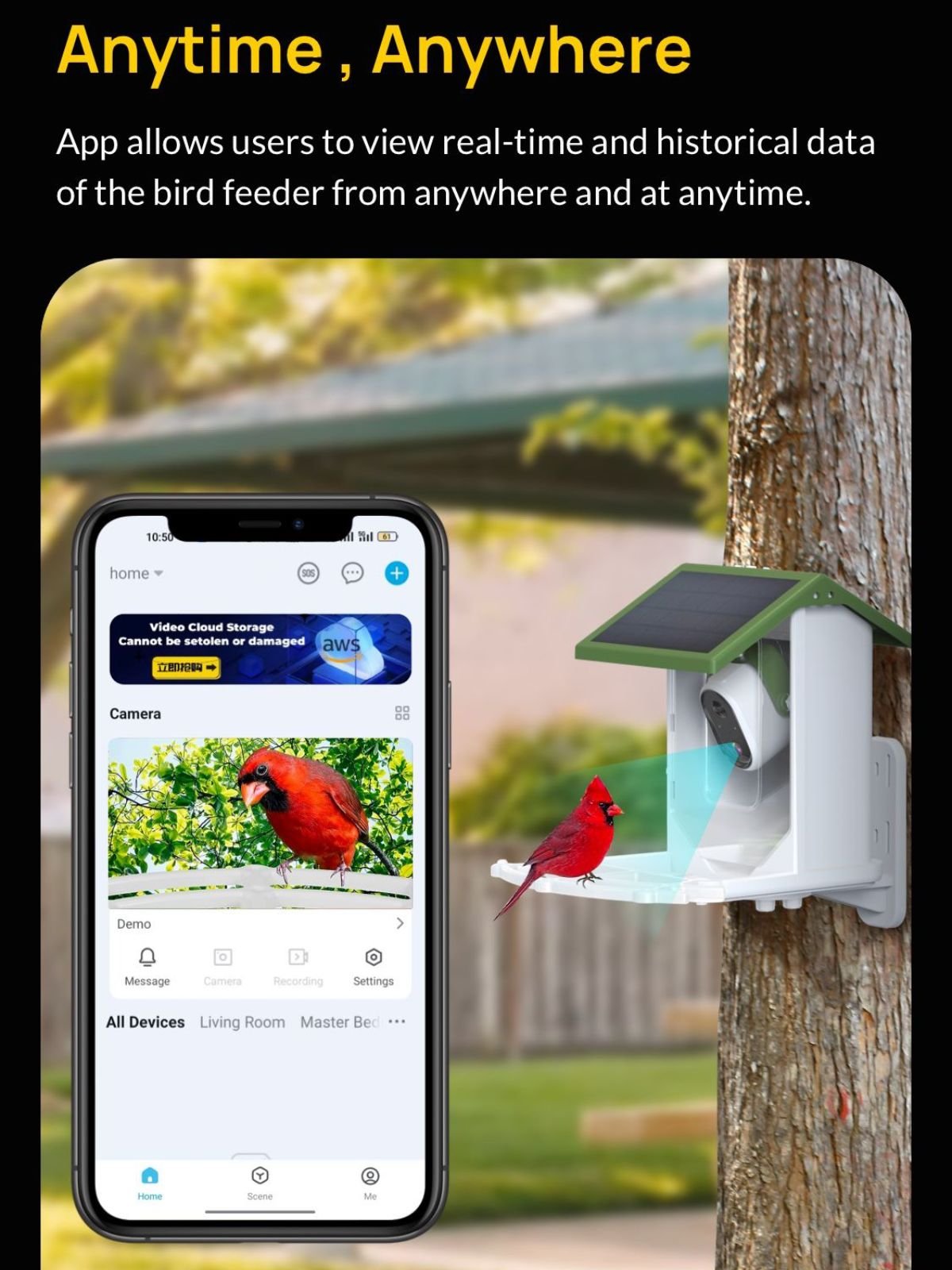 smart bird feeder picture