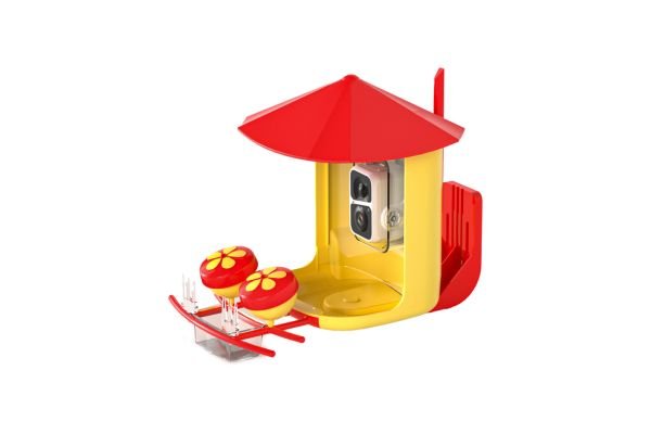 hummingbird feeder picture