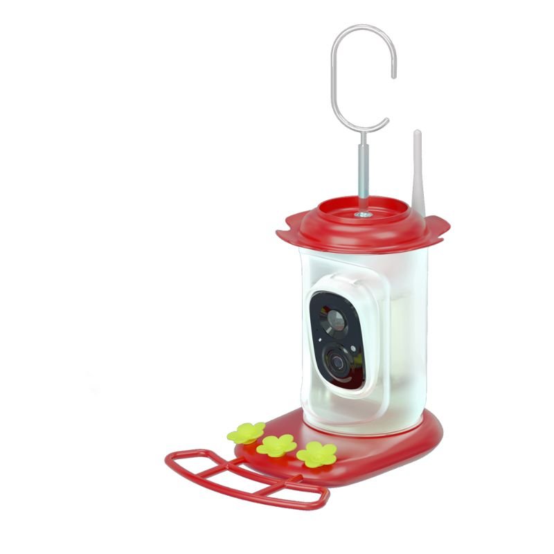 hummingbird feeder picture