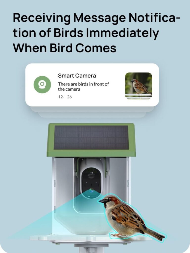 smart bird feeder picture
