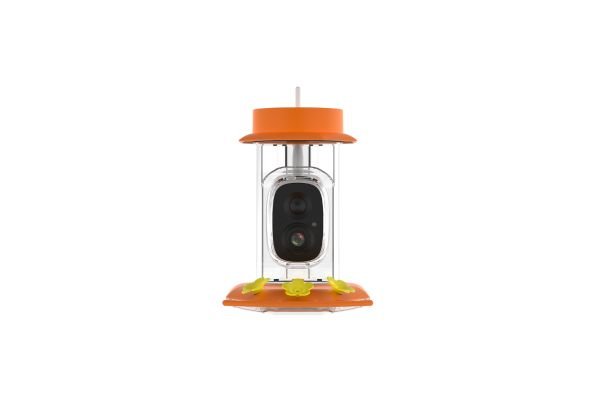 hummingbird feeder picture