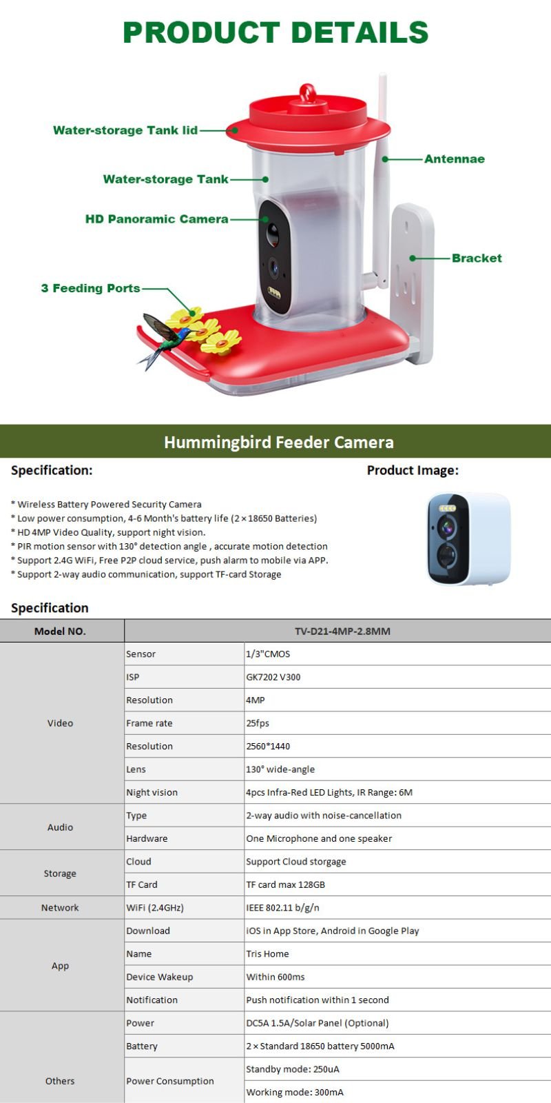 hummingbird feeder picture