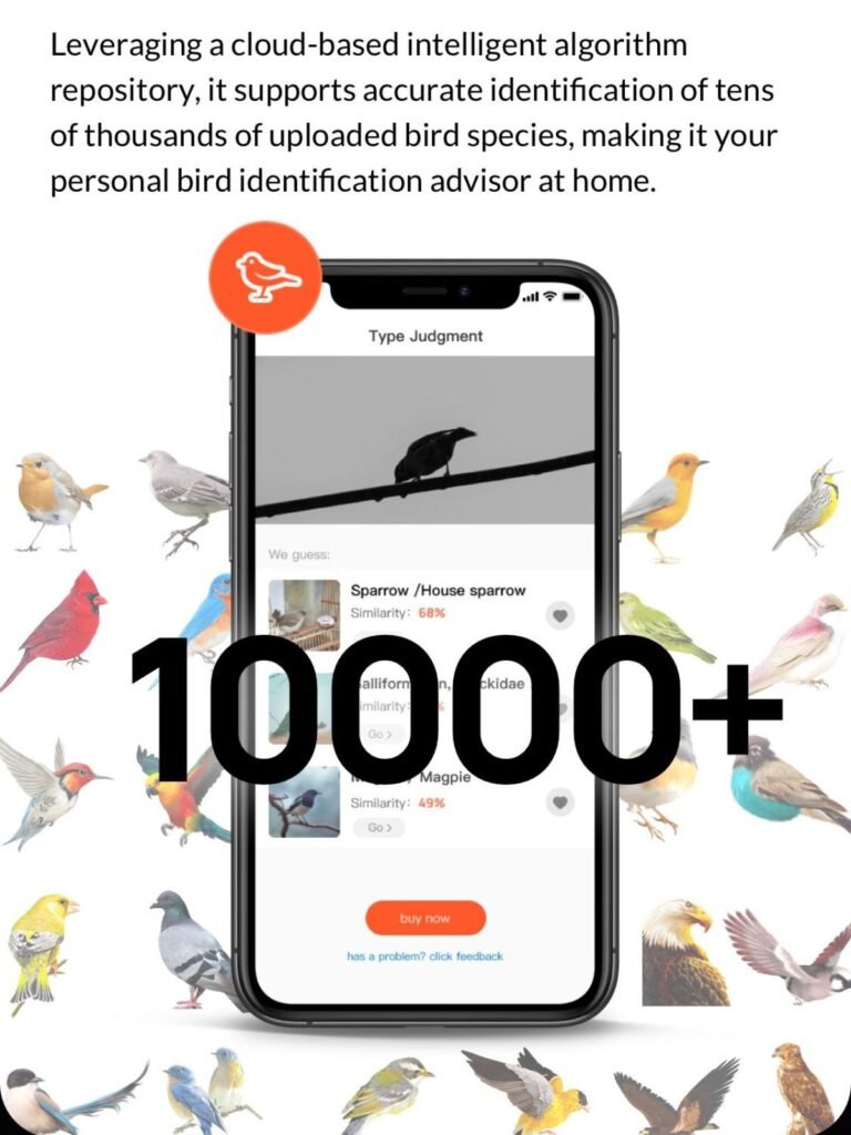 smart bird feeder picture