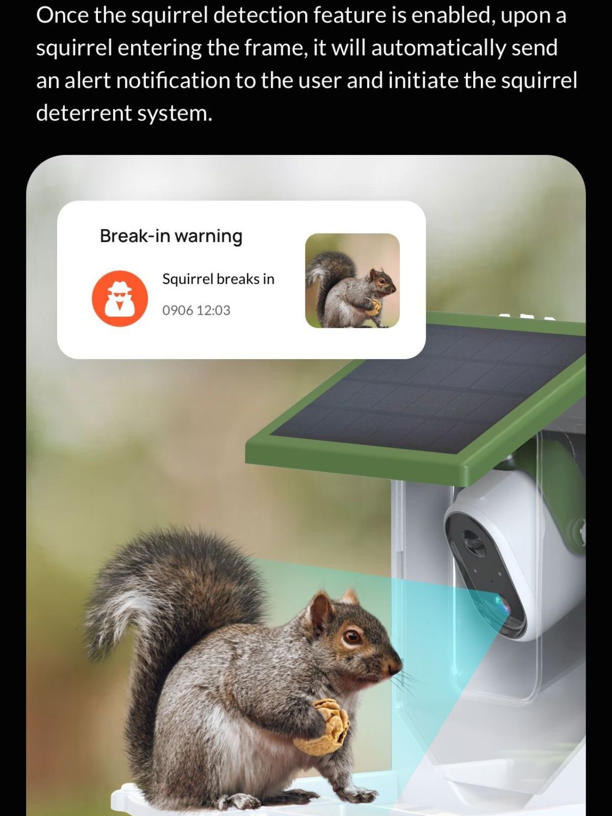 smart bird feeder picture