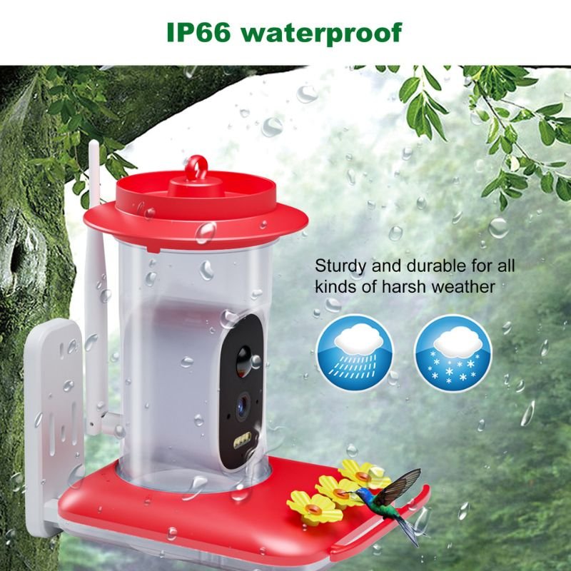 hummingbird feeder picture