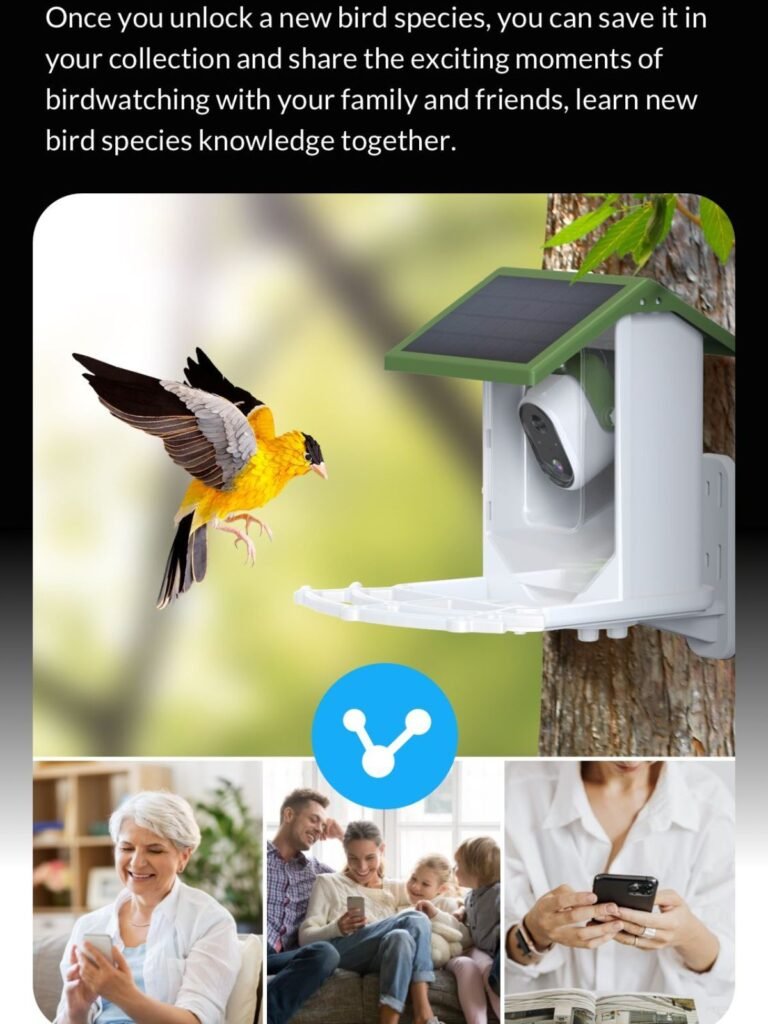 smart bird feeder picture