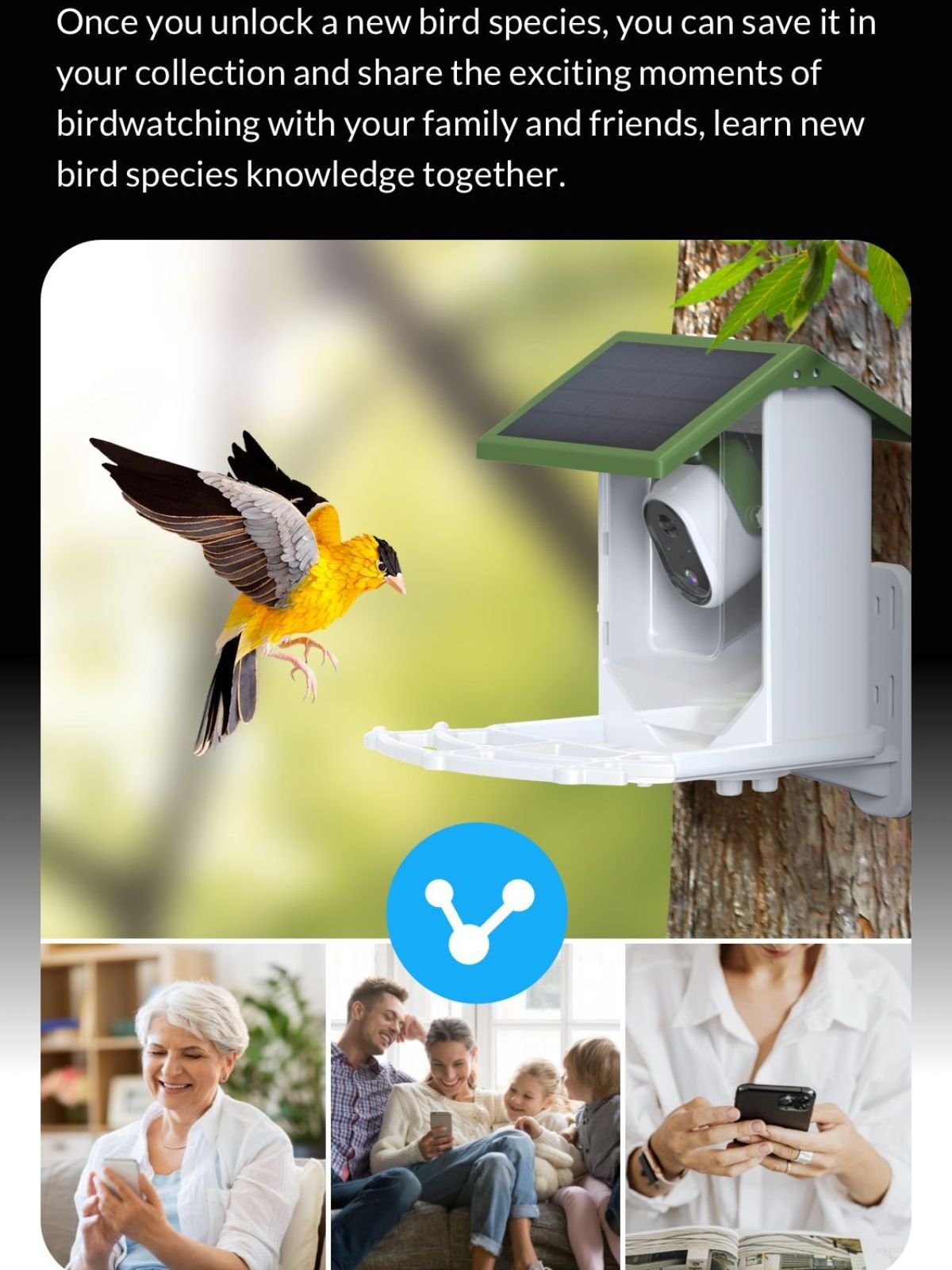 smart bird feeder picture