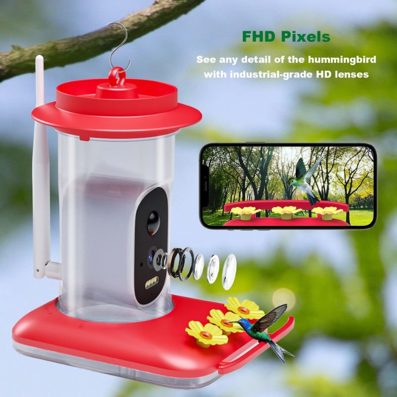 hummingbird feeder picture