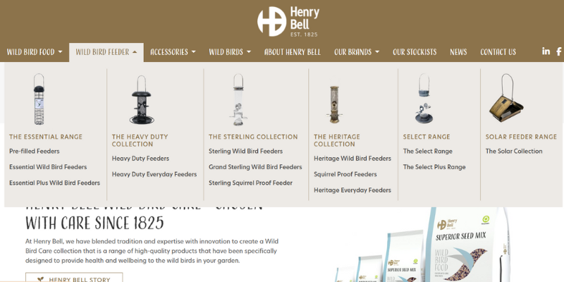 Henry Bell website picture