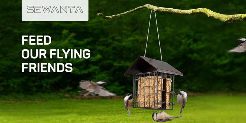 Sewanta bird feeder picture