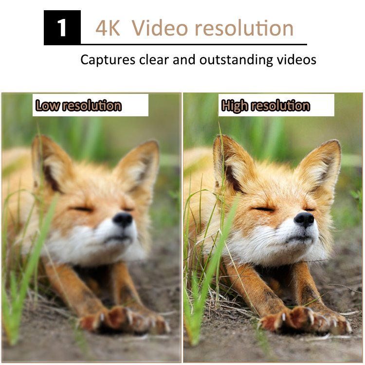 trail camera