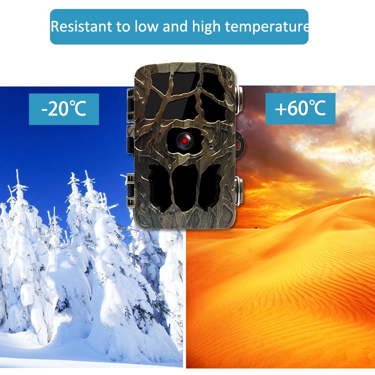 trail camera