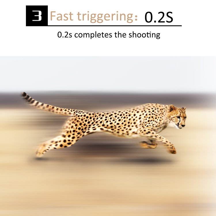 trail camera