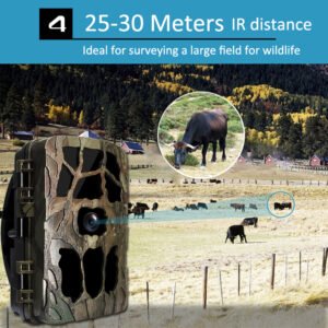 trail camera picture